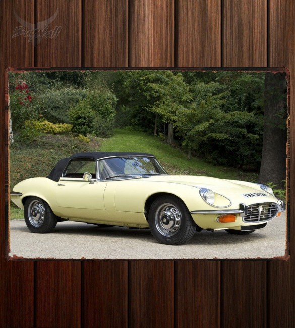 Металлическая табличка Jaguar E-Type V12 Open Two Seater (Series III) 343